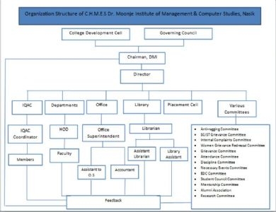 organization structure 